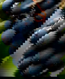 Billimari NSW Gold Coast