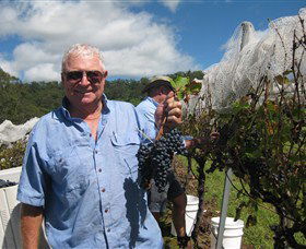 Razorback Ridge Wines - Tourism Gold Coast 2