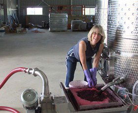 Razorback Ridge Wines - Tourism Gold Coast 6