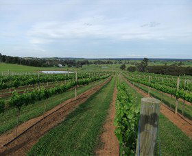 Razorback Ridge Wines - Tourism Gold Coast 1