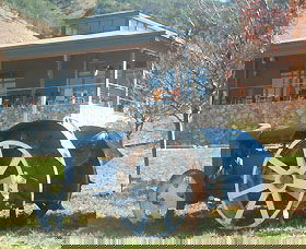 Lake George Winery - Tourism Gold Coast 0