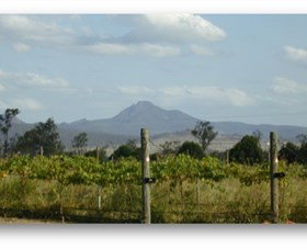 Purga QLD Tourism Gold Coast