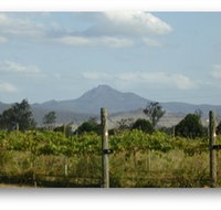 Ironbark Ridge Vineyard - Gold Coast