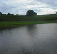 Vintners Secret Vineyard Cellar Door and Cafe - Tourism Gold Coast