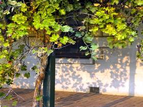 Wolseley SA Tourism Gold Coast