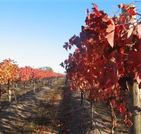 Kooyonga Creek Wines - Tourism Gold Coast