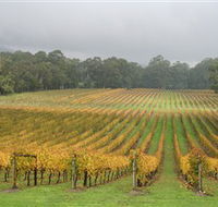 Boat O'Craigo Wines - Tourism Gold Coast