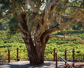 Upper Reach Winery And Cellar Door - Tourism Gold Coast 1