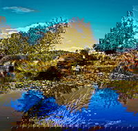Loira Vines - Tourism Gold Coast