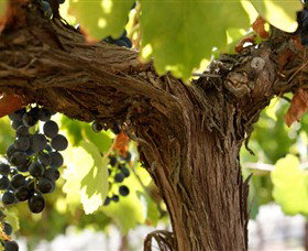 Ravenswood South VIC Tourism Gold Coast