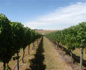 Cannibal Creek Vineyard - Tourism Gold Coast 1