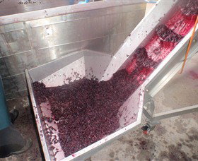 Cannibal Creek Vineyard - Tourism Gold Coast 6