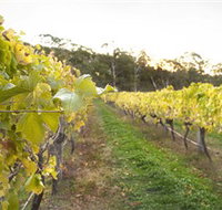 Harcourt Valley Vineyards - Tourism Gold Coast