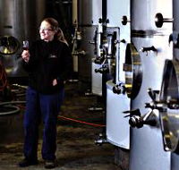Holm Oak Vineyard - Tourism Gold Coast