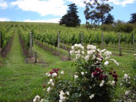Prairie ACT Tourism Gold Coast