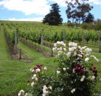 Pembroke Estate Vineyard - Tourism Gold Coast
