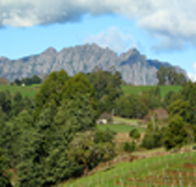Lake Barrington Vineyard - Tourism Gold Coast
