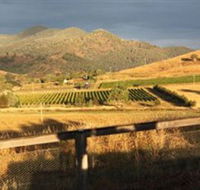 Optimiste Wines - Gold Coast