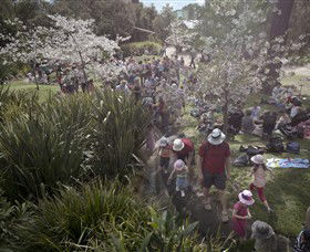 Royal Botanic Gardens Victoria - Gold Coast 7