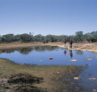 Camel Soak - Tourism Gold Coast