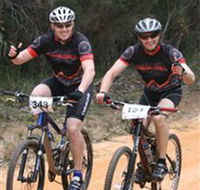 Trailhead Bike Co. - Tourism Gold Coast