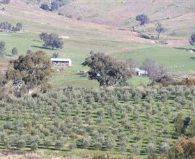 Wymah Organic Olives And Lambs - Tourism Gold Coast 0