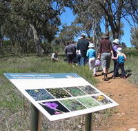 South Gundagai Woodlands Walk - Tourism Gold Coast