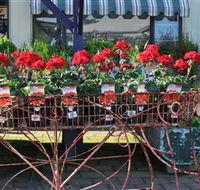 Van Loon's Nursery - Tourism Gold Coast