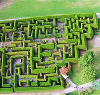 Hedgend Maze and Healesville Laser Sport - Tourism Gold Coast