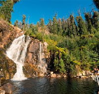 Steavenson Falls Marysville - Tourism Gold Coast