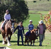 Bathurst Farm Experience - Tourism Gold Coast