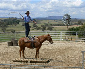 Boggy Creek Shows - Tourism Gold Coast 0
