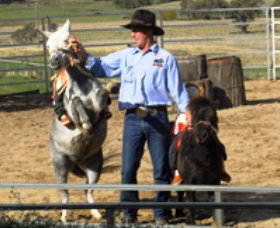 Boggy Creek Shows - Tourism Gold Coast 2