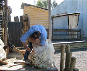 Boggy Creek Shows - Tourism Gold Coast 4
