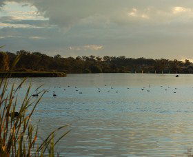 Lake Inverell Reserve - Gold Coast 0