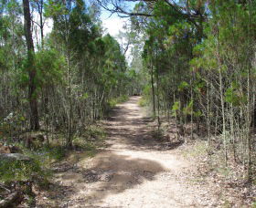 Goonoowigall State Conservation Area - Gold Coast 1