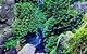 Bunya Mountains National Park - thumb 2