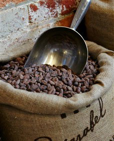 Bright Chocolate - Tourism Gold Coast 5