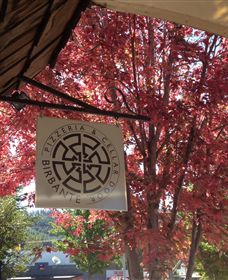 Billy Button Wines - Tourism Gold Coast 3