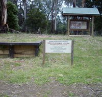 Shelley Forest Camp - Tourism Gold Coast