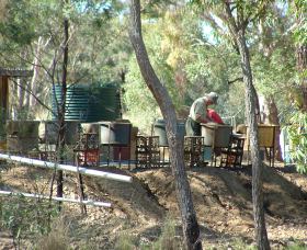 7 Oaks Sapphire Fossicking - Tourism Gold Coast 0