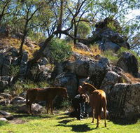 Coomba Falls - Tourism Gold Coast