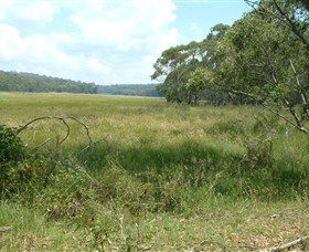 Hume And Hovell Walking Track - Gold Coast 2