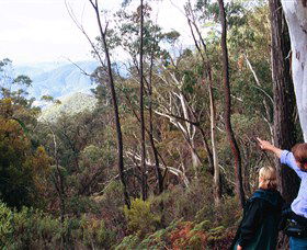 Hume And Hovell Walking Track - Gold Coast 5
