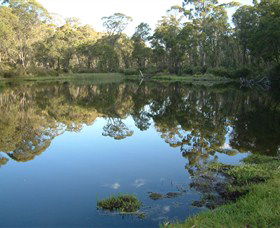 Hume And Hovell Walking Track - Gold Coast 6