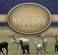 Marchmont Park Alpacas - Tourism Gold Coast