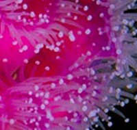 Yaringa Marine National Park - Gold Coast