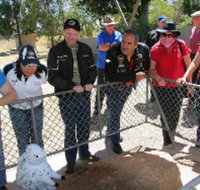 Fossil Rock - Gold Coast
