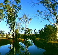 Dingo Creek Park - Tourism Gold Coast