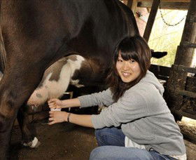 Warrook Farm - Tourism Gold Coast 2